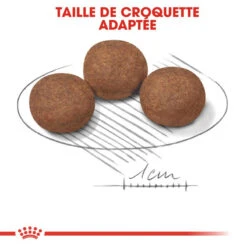 ROYAL CANIN Medium Puppy 15kg -Royal Croquettes Promos Magasin fre pl ROYAL CANIN Medium Puppy 15kg 16145 6