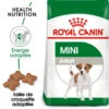 ROYAL CANIN Mini Adult 4kg -Royal Croquettes Promos Magasin fre pl ROYAL CANIN Mini Adult 4kg 16085 1