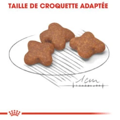 ROYAL CANIN Mini Adult 8+ 800g 10 ROYAL CANIN Mini Adult 8+ 800g -Royal Croquettes Promos Magasin fre pl ROYAL CANIN Mini Adult 8 800g 15728 6