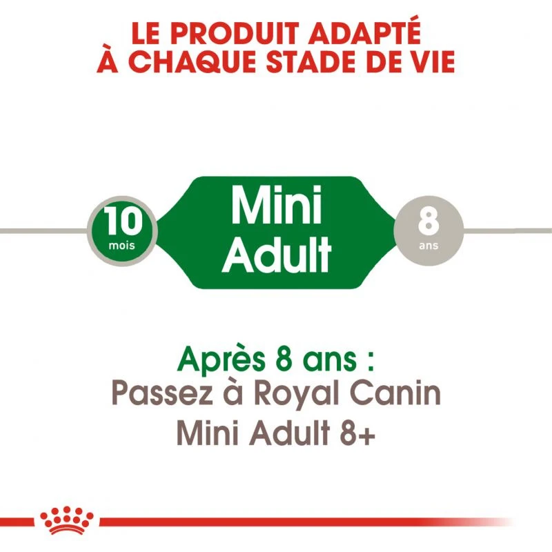 ROYAL CANIN Mini Adult 8kg 4 ROYAL CANIN Mini Adult 8kg – Image 2