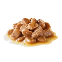 ROYAL CANIN Mini Ageing 12+ 12x85g 10 ROYAL CANIN Mini Ageing 12+ 12x85g -Royal Croquettes Promos Magasin fre pl ROYAL CANIN Mini Ageing 12 12x85g 9818 2