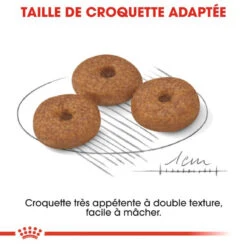 ROYAL CANIN Mini Ageing 12+ 800g -Royal Croquettes Promos Magasin fre pl ROYAL CANIN Mini Ageing 12 800g 9336 3