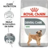 ROYAL CANIN Mini Dental Care 1kg -Royal Croquettes Promos Magasin fre pl ROYAL CANIN Mini Dental Care 1kg 10080 1