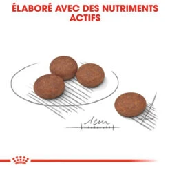 ROYAL CANIN Mini Digestive Care 1kg 10 ROYAL CANIN Mini Digestive Care 1kg -Royal Croquettes Promos Magasin fre pl ROYAL CANIN Mini Digestive Care 1kg 10082 10