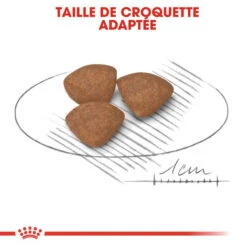 ROYAL CANIN Mini Puppy 2kg -Royal Croquettes Promos Magasin fre pl ROYAL CANIN Mini Puppy 2kg 16162 4