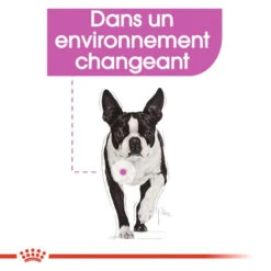 ROYAL CANIN Mini Relax Care 8kg X2 11 ROYAL CANIN Mini Relax Care 8kg X2 -Royal Croquettes Promos Magasin fre pl ROYAL CANIN Mini Relax Care 8kg x2 30591 3