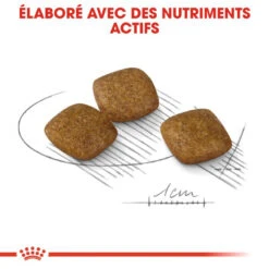 ROYAL CANIN Mini Relax Care 8kg X2 10 ROYAL CANIN Mini Relax Care 8kg X2 -Royal Croquettes Promos Magasin fre pl ROYAL CANIN Mini Relax Care 8kg x2 30591 8