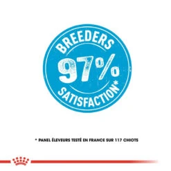 ROYAL CANIN Mini Starter 1kg 12 ROYAL CANIN Mini Starter 1kg -Royal Croquettes Promos Magasin fre pl ROYAL CANIN Mini Starter 1kg 16088 8