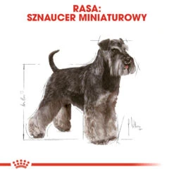 ROYAL CANIN Miniature Schnauzer Adult 7,5kg + Surprise Pour Votre Chien GRATUITES ! -Royal Croquettes Promos Magasin fre pl ROYAL CANIN Miniature Schnauzer Adult 7 5kg surprise pour votre chien GRATUITES 17877 5