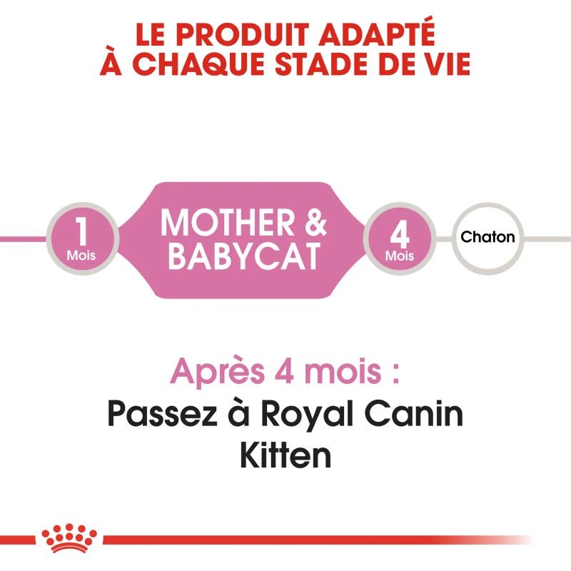 ROYAL CANIN Mother & Baby Cat 400g X2 8 ROYAL CANIN Mother & Baby Cat 400g X2 – Image 6