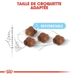 ROYAL CANIN Mother & Baby Cat 400g X2 12 ROYAL CANIN Mother & Baby Cat 400g X2 -Royal Croquettes Promos Magasin fre pl ROYAL CANIN Mother Baby Cat 400g x2 30747 8