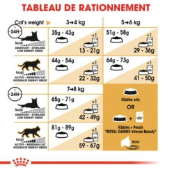 ROYAL CANIN Norwegian Forest Cat Adult 10kg -Royal Croquettes Promos Magasin fre pl ROYAL CANIN Norwegian Forest Cat Adult 10kg 16942 4