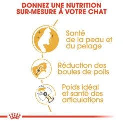 ROYAL CANIN Norwegian Forest Cat Adult 10kg -Royal Croquettes Promos Magasin fre pl ROYAL CANIN Norwegian Forest Cat Adult 10kg 16942 5