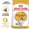 ROYAL CANIN Norwegian Forest Cat Adult 2kg 2 ROYAL CANIN Norwegian Forest Cat Adult 2kg -Royal Croquettes Promos Magasin fre pl ROYAL CANIN Norwegian Forest Cat Adult 2kg 16943 8