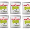 ROYAL CANIN Nutritional Supplement Educ 10x50g 1 ROYAL CANIN Nutritional Supplement Educ 10x50g -Royal Croquettes Promos Magasin fre pl ROYAL CANIN Nutritional Supplement Educ 10x50g 29779 4