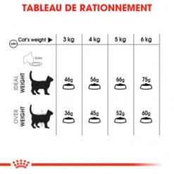 ROYAL CANIN Oral Care 3,5kg -Royal Croquettes Promos Magasin fre pl ROYAL CANIN Oral Care 3 5kg 17054 2