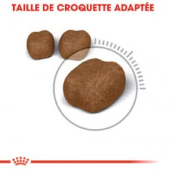 ROYAL CANIN Oral Care 3,5kg -Royal Croquettes Promos Magasin fre pl ROYAL CANIN Oral Care 3 5kg 17054 3