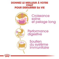 ROYAL CANIN Persian Kitten 10kg -Royal Croquettes Promos Magasin fre pl ROYAL CANIN Persian Kitten 10kg 9345 3