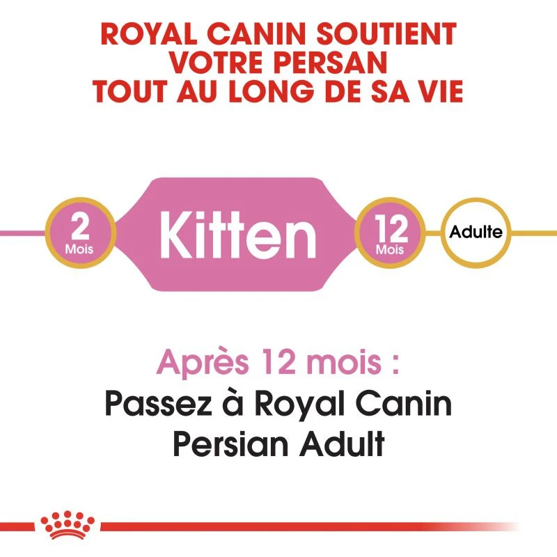 ROYAL CANIN Persian Kitten 2kg 5 ROYAL CANIN Persian Kitten 2kg – Image 3