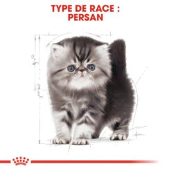 ROYAL CANIN Persian Kitten 2kg 11 ROYAL CANIN Persian Kitten 2kg -Royal Croquettes Promos Magasin fre pl ROYAL CANIN Persian Kitten 2kg 16108 5