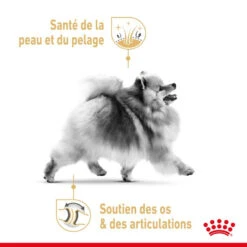 ROYAL CANIN Pomeranian Adult 1,5kg X2 -Royal Croquettes Promos Magasin fre pl ROYAL CANIN Pomeranian Adult 1 5kg x2 30742 3