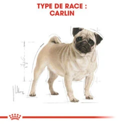 Nouvelles versions -Royal Croquettes Promos Magasin fre pl ROYAL CANIN Pug Adult 1 5kg 16110 3
