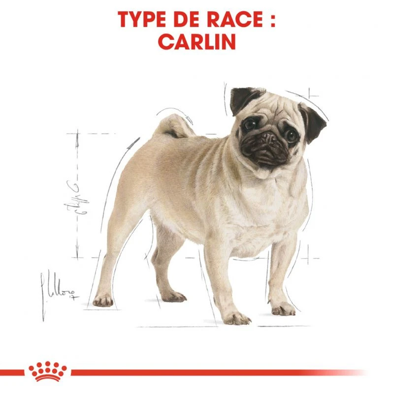 ROYAL CANIN Pug Adult 1,5kg 4 ROYAL CANIN Pug Adult 1,5kg – Image 2