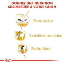 ROYAL CANIN Pug Adult 1,5kg 10 ROYAL CANIN Pug Adult 1,5kg -Royal Croquettes Promos Magasin fre pl ROYAL CANIN Pug Adult 1 5kg 16110 4