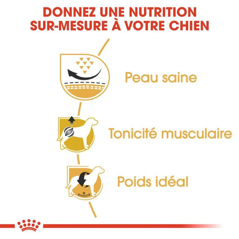 ROYAL CANIN Pug Adult 1,5kg 5 ROYAL CANIN Pug Adult 1,5kg – Image 3