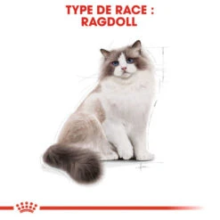 ROYAL CANIN Ragdoll Adult 2kg -Royal Croquettes Promos Magasin fre pl ROYAL CANIN Ragdoll Adult 2kg 16912 6