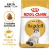 ROYAL CANIN Ragdoll Adult 400g 2 ROYAL CANIN Ragdoll Adult 400g -Royal Croquettes Promos Magasin fre pl ROYAL CANIN Ragdoll Adult 400g 15341 1