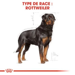 ROYAL CANIN Rottweiler Adult 12kg -Royal Croquettes Promos Magasin fre pl ROYAL CANIN Rottweiler Adult 12kg 9456 3