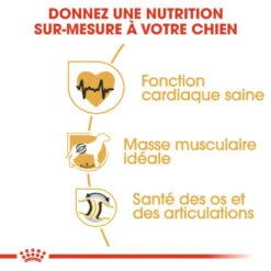 ROYAL CANIN Rottweiler Adult 12kg -Royal Croquettes Promos Magasin fre pl ROYAL CANIN Rottweiler Adult 12kg 9456 4