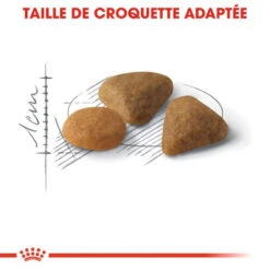 ROYAL CANIN Savour Exigent 10kg -Royal Croquettes Promos Magasin fre pl ROYAL CANIN Savour Exigent 10kg 15988 4