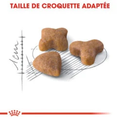ROYAL CANIN Sensible 33 4kg 10 ROYAL CANIN Sensible 33 4kg -Royal Croquettes Promos Magasin fre pl ROYAL CANIN Sensible 33 4kg 16128 4
