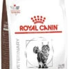 ROYAL CANIN Skin Hairball Gastrointestinal 4kg + Surprise Pour Votre Chat GRATUITES ! -Royal Croquettes Promos Magasin fre pl ROYAL CANIN Skin Hairball Gastrointestinal 4kg surprise pour votre chat GRATUITES 25232 1
