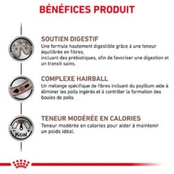 ROYAL CANIN Skin Hairball Gastrointestinal 4kg + Surprise Pour Votre Chat GRATUITES ! 12 ROYAL CANIN Skin Hairball Gastrointestinal 4kg + Surprise Pour Votre Chat GRATUITES ! -Royal Croquettes Promos Magasin fre pl ROYAL CANIN Skin Hairball Gastrointestinal 4kg surprise pour votre chat GRATUITES 25232 6