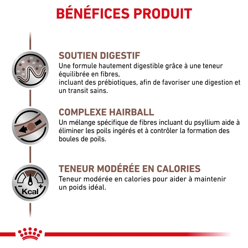 ROYAL CANIN Skin Hairball Gastrointestinal 4kg + Surprise Pour Votre Chat GRATUITES ! 7 ROYAL CANIN Skin Hairball Gastrointestinal 4kg + Surprise Pour Votre Chat GRATUITES ! – Image 5
