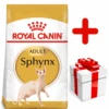 ROYAL CANIN Sphynx Adult 10kg + Surprise Pour Votre Chat GRATUITES ! 1 ROYAL CANIN Sphynx Adult 10kg + Surprise Pour Votre Chat GRATUITES ! -Royal Croquettes Promos Magasin fre pl ROYAL CANIN Sphynx Adult 10kg surprise pour votre chat GRATUITES 17889 1