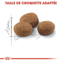 ROYAL CANINSterilised +7 1,5kg 11 ROYAL CANINSterilised +7 1,5kg -Royal Croquettes Promos Magasin fre pl ROYAL CANIN Sterilised 7 1 5kg 9514 4