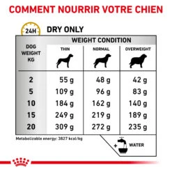 ROYAL CANIN Urinary U/C Low Purine 2kg -Royal Croquettes Promos Magasin fre pl ROYAL CANIN Urinary U C Low Purine 2kg 16155 4