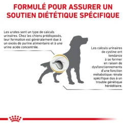 ROYAL CANIN Urinary U/C Low Purine 2kg -Royal Croquettes Promos Magasin fre pl ROYAL CANIN Urinary U C Low Purine 2kg 16155 6