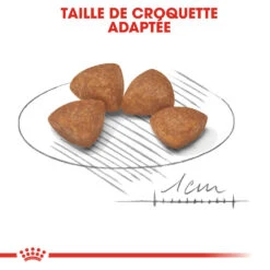 ROYAL CANIN X-Small Puppy 1,5kg -Royal Croquettes Promos Magasin fre pl ROYAL CANIN X Small Puppy 1 5kg 11360 3