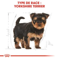 ROYAL CANIN Yorkshire Terrier Puppy 1,5kg 10 ROYAL CANIN Yorkshire Terrier Puppy 1,5kg -Royal Croquettes Promos Magasin fre pl ROYAL CANIN Yorkshire Terrier Puppy 1 5kg 9597 3