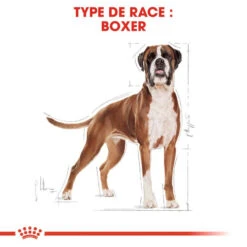 Royal Canin Boxer Adult 12kg -Royal Croquettes Promos Magasin fre pl Royal Canin Boxer Adult 12kg 9122 3