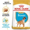 Royal Canin Boxer Puppy 12kg -Royal Croquettes Promos Magasin fre pl Royal Canin Boxer Puppy 12kg 9124 1