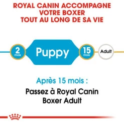 Royal Canin Boxer Puppy 12kg -Royal Croquettes Promos Magasin fre pl Royal Canin Boxer Puppy 12kg 9124 4