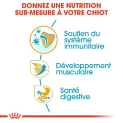 Royal Canin Boxer Puppy 12kg -Royal Croquettes Promos Magasin fre pl Royal Canin Boxer Puppy 12kg 9124 5