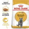 Royal Canin British Shorthair Adult 400g 2 Royal Canin British Shorthair Adult 400g -Royal Croquettes Promos Magasin fre pl Royal Canin British Shorthair Adult 400g 9126 1