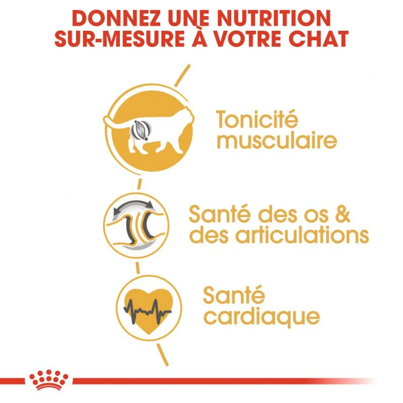 Royal Canin British Shorthair Adult 400g 7 Royal Canin British Shorthair Adult 400g – Image 5